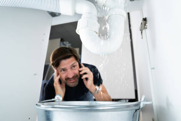 Best Leak Detection Services  in Seaford, NY